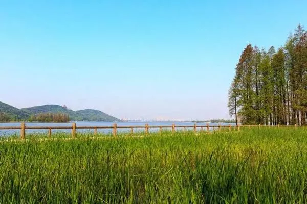 東湖落雁島游玩攻略 交通、門(mén)票、怎么玩等信息都在這了